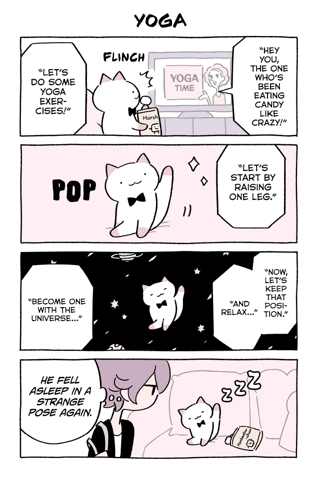 Wonder Cat Kyuu-chan Chapter 389 1